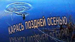 Лучшие Моменты