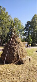 Местные артисты