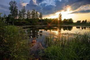 Мое Подмосковье