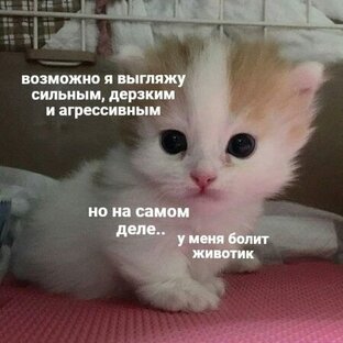Грустные моменты...