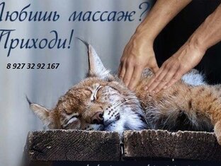Массаж для тебя.
