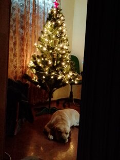 Рождество и Новый год