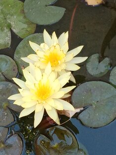 108 вопросов и ответов