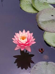 Фотовопросы