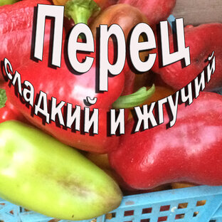 Перец
