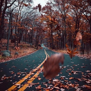 Фото-картинки