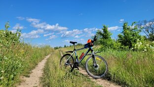 Велопрогулки 