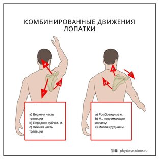 Диагностика в реабилитации