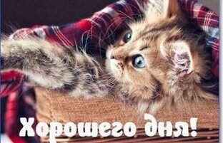 РАЗНОЕ