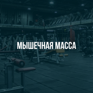 Наука о мышцах