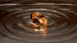 Фотопроекты