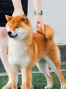 Я Вам пишу📝