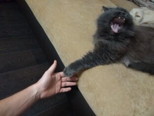 Протестированные образцы кроссовок