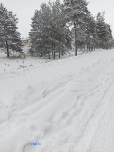 Северная Сибирь 