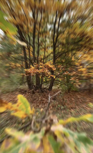 Видео зарисовки природы.