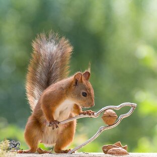 РУССКАЯ ЛИТЕРАТУРА