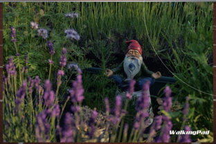 Тренировки по бегу, как психотерапия