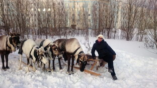 Если ты полюбишь Север, не разлюбишь никогда