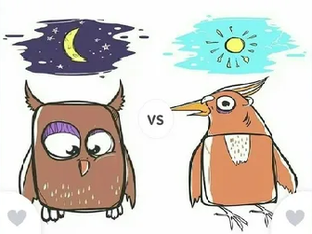 Про сов и жаворонков