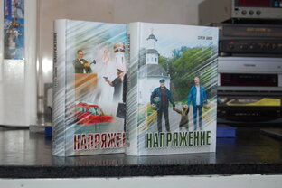 Роман С. Е. Бокова "Напряжение". Первый том