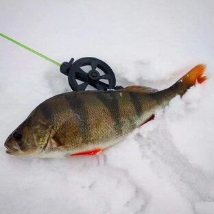 Ловля на мормышку.