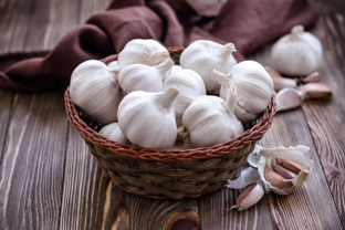 Агротехника