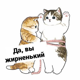 Спортивная ревмофизиология.
