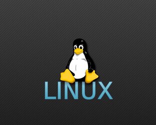Просто об IT and Linux
