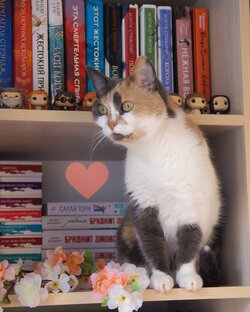 Подборки книг и фильмов