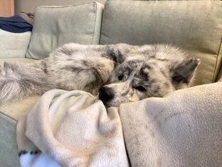 Коротко о главном