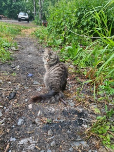 Нужна помощь 