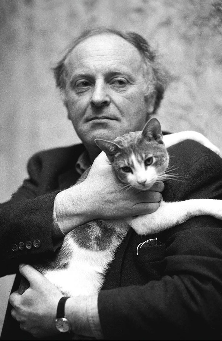 котята в великом новгороде 2023. питомник сибирских кошек в спб. котята великий новгород. иосиф бродский писатель. красивые коты.