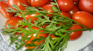 Заготовки на зиму. Рецепты. Консервирование.