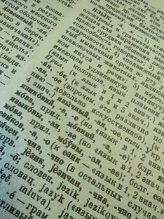 ЯЗЫКОЗНАНИЕ