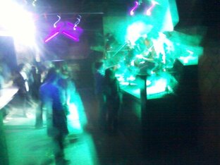 НЕОНОВАЯ РОЩА