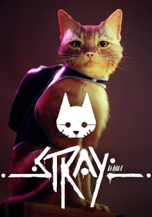 Stray