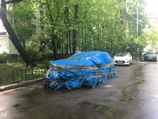 Авто и курьезы в суде
