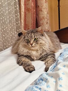 Наши стихотворения