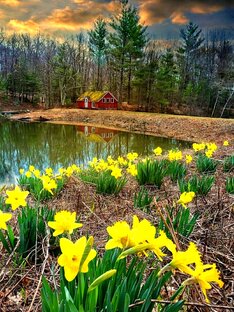 Пофантазируем😊