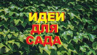 ИДЕИ ДЛЯ САДА