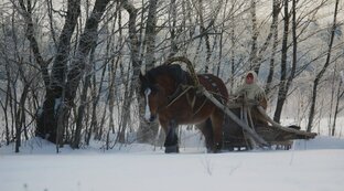 Деревенские рассказы
