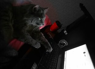 Игрушки, девайсы и мебель