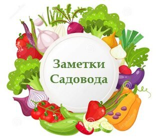 Заметки садовода