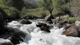 По Южному Казахстану