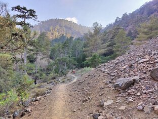 Жизнь на Кипре