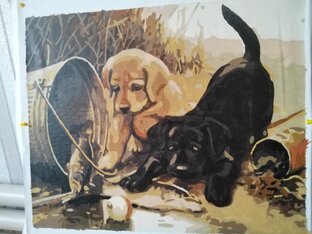 Лабрадоры на рыбалке 