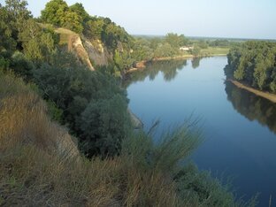 Роман Листки календаря