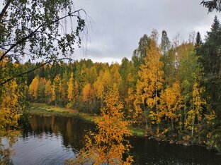 Долго будет Карелия сниться