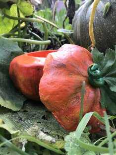 Шкатулки из втулок от скотча