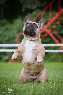 Умное и полезное 